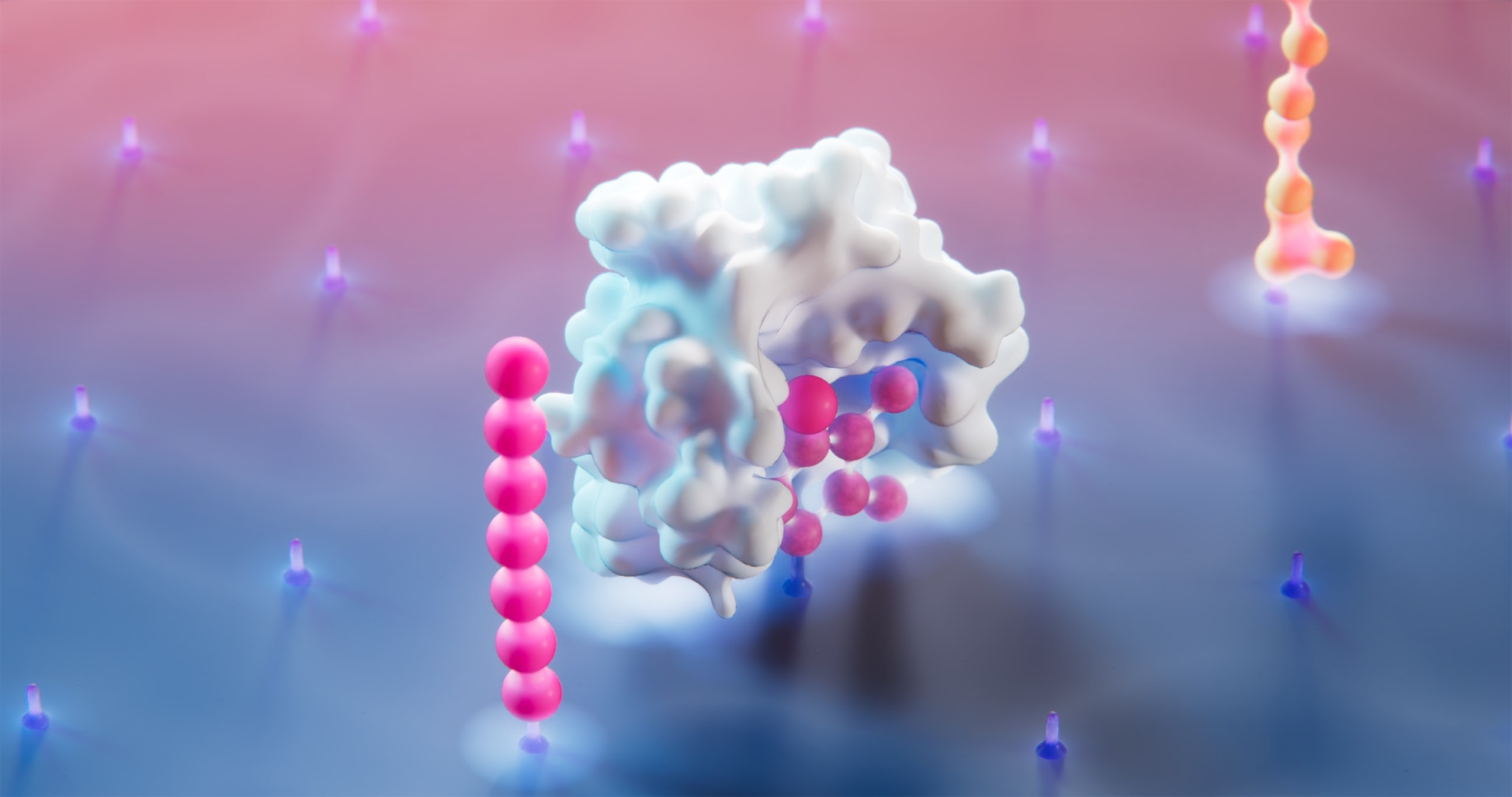 3D animation of amino acid binder revealing identity of amino acid.jpg